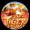 tiger slots